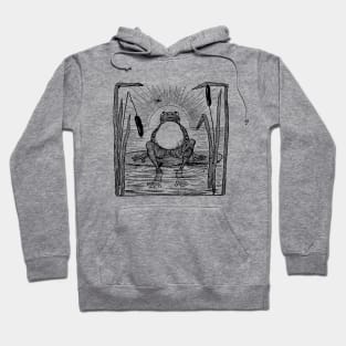 Cute Grumpy Frog in Full Moon, Toad Sitting Under Large Moon, Cottagecore Phrog Drawing, Naturecore Froge Hoodie